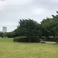 都立潮風公園の写真_345813