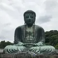 鎌倉大仏（高徳院）の写真_347032