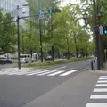 御堂筋の写真_347962