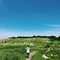 四国カルスト高原放牧場の写真_348152