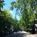 角館の写真_348753
