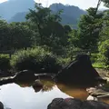 南玉川温泉 湯宿 はなやの森の写真_348760