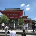 八坂神社の写真_349068