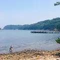友ヶ島 池尻浜の写真_349159