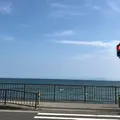 稲村ヶ崎駅の写真_403498