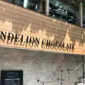 ダンデライオン・チョコレート鎌倉店の写真_403508