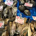 二条市場の写真_404474