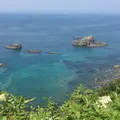 島武意海岸の写真_405772