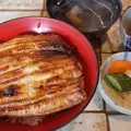 うなぎ 松琴楼の写真_405977