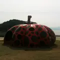 赤かぼちゃの写真_406486
