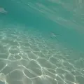 土盛海岸の写真_406637