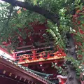 神田明神の写真_406725