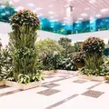 シンガポール・チャンギ国際空港（Singapore Changi International Airport）の写真_407632