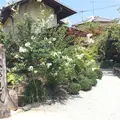 山越うどんの写真_407673