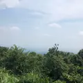 高尾山の写真_407674