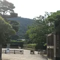 栗林公園の写真_407810