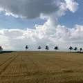 メルヘンの丘の写真_407884