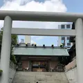 芝大神宮の写真_408125