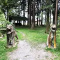 ふもとっぱらの写真_408154