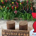 国民宿舎 サンライズ九十九里の写真_408207