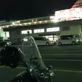 新日本海フェリー 舞鶴港 フェリーターミナルの写真_408281