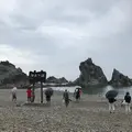 浄土ヶ浜の写真_408757