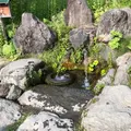 原始の泉の写真_409350