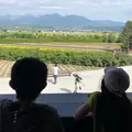 ファーム富田の写真_409359