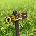 遠賀川水源地ポンプ室の写真_409988