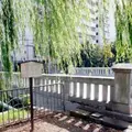 一条戻橋の写真_410087