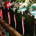 福徳の森の写真_410282
