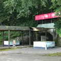 マリンローズパーク野田玉川の写真_410379