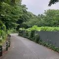 戸山公園（交通公園）の写真_411353