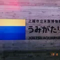 上越市立水族博物館 うみがたり（旧：上越市立水族博物館）の写真_412024