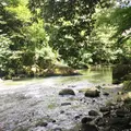 鶴仙渓の写真_412444