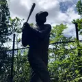 八木山動物公園フジサキの杜の写真_412631