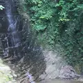 金神の滝の写真_412756