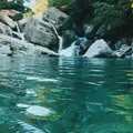 安居渓谷の写真_412893