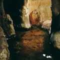 黒川温泉 新明館の写真_412929