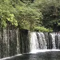 白糸の滝の写真_413031