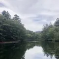雲場池の写真_413037