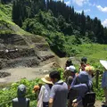 野外恐竜博物館の写真_413785