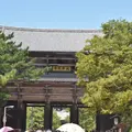 東大寺の写真_413861