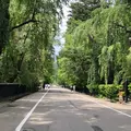 角館武家屋敷通りの写真_414294