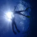 慶良間諸島周辺の写真_419029