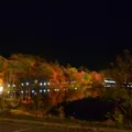 茶臼山高原の写真_423273