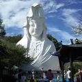 大船観音寺の写真_423814