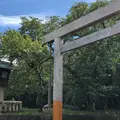 関宿の写真_427508