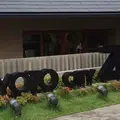 京都市動物園の写真_427922