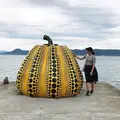 草間彌生「南瓜」の写真_429269